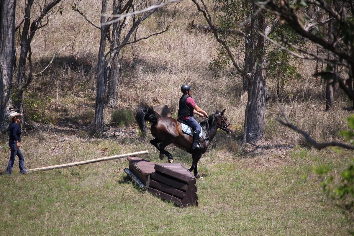 IMG_4700