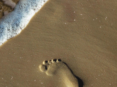 foot